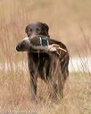 20141004-wcxl-0446