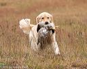 20141004-wcxl-0463