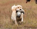 20141004-wcxl-0465