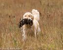 20141004-wcxl-0478