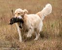 20141004-wcxl-0484