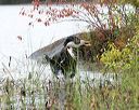 20141004-wcxw-0079