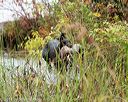 20141004-wcxw-0082