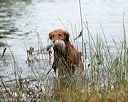 20141004-wcxw-0105