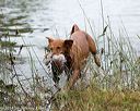 20141004-wcxw-0108