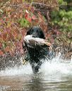 20141004-wcxw-0165