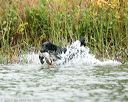 20141004-wcxw-0210