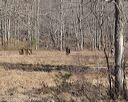 20150412-gshrc-0005