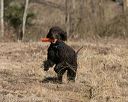 20150412-gshrc-0047