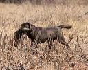 20150412-gshrc-0092