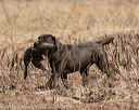 20150412-gshrc-0093