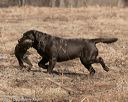 20150412-gshrc-0097