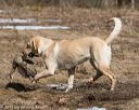 20150412-gshrc-0110