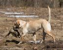 20150412-gshrc-0111