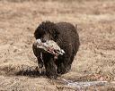 20150412-gshrc-0142