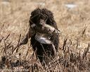 20150412-gshrc-0147