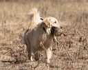 20150412-gshrc-0151