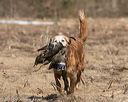20150412-gshrc-0197