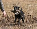 20150412-gshrc-0212