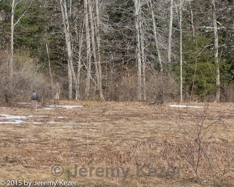 20150412-gshrc-0004.jpg