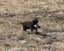 20150412-gshrc-0286