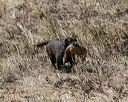 20150412-gshrc-0319