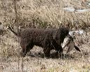 20150412-gshrc-0346