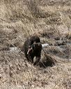 20150412-gshrc-0369