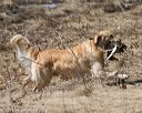 20150412-gshrc-0379