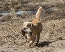 20150412-gshrc-0385