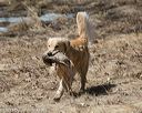 20150412-gshrc-0386