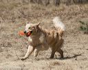 20150412-gshrc-0390