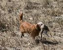 20150412-gshrc-0406