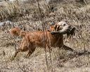 20150412-gshrc-0410