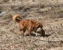20150412-gshrc-0429