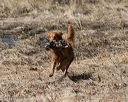 20150412-gshrc-0434