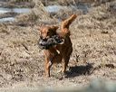 20150412-gshrc-0435