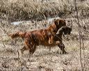 20150412-gshrc-0449
