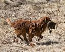 20150412-gshrc-0451