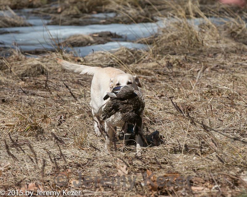 20150412-gshrc-0279.jpg