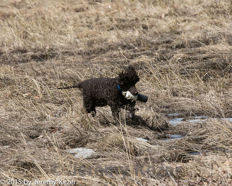 20150412-gshrc-0286.jpg