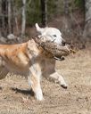 20150412-gshrc-0492