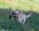 20150801-lrcgb-0082