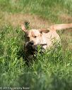 20150801-lrcgb-0125