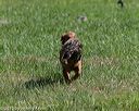 20150801-lrcgb-0187