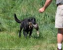 20150801-lrcgb-0387