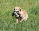 20150801-lrcgb-0503