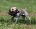 20150801-lrcgb-0572