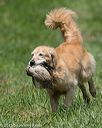 20150801-lrcgb-0977