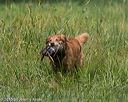 20150801-lrcgb-1090